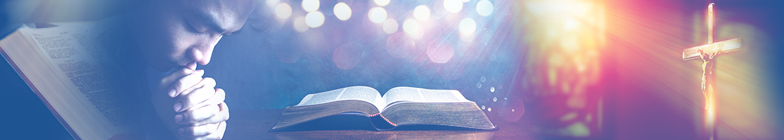 Banner-Contacto